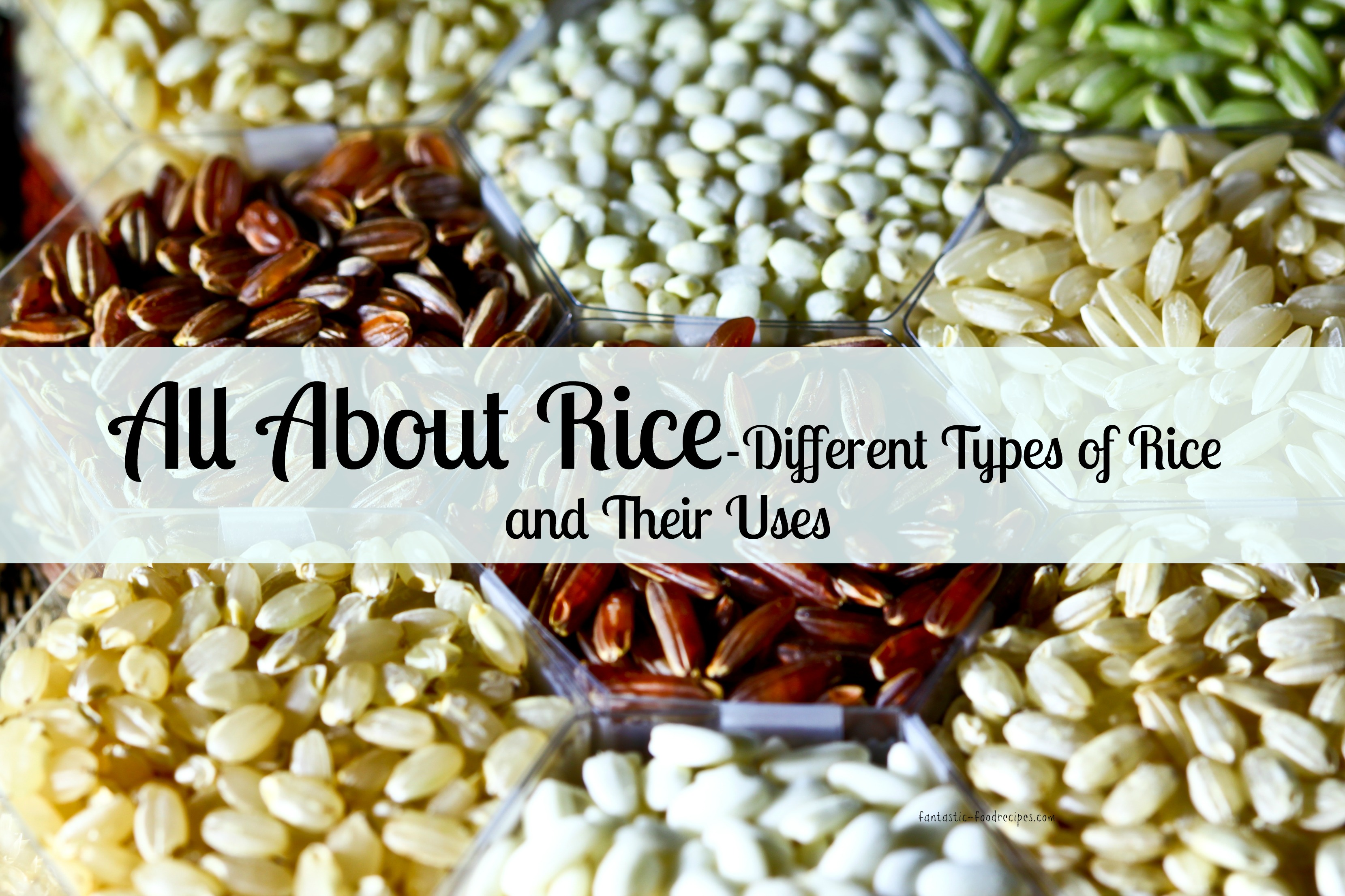 All About Rice