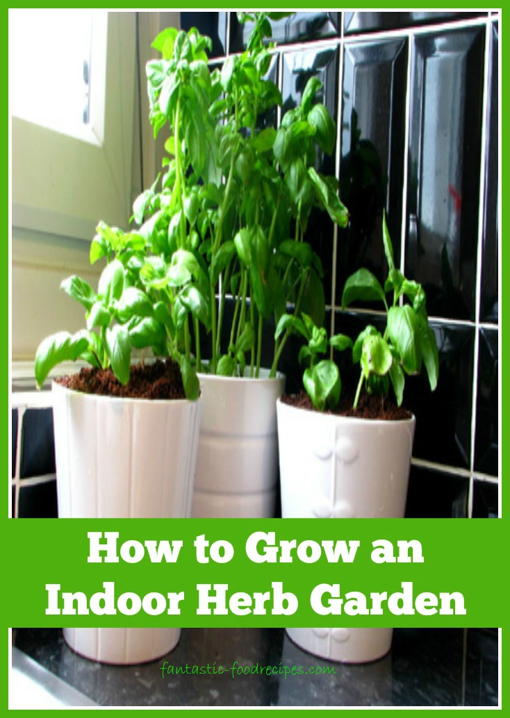 How to Grow an Indoor Herb Garden (2) - Fantastic-Food Recipes